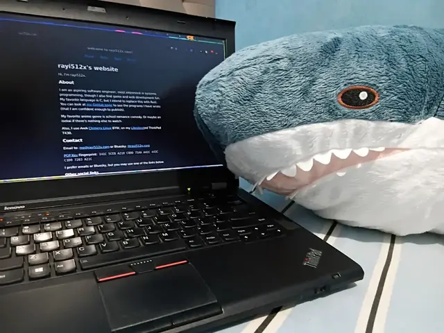 Blåhaj and ThinkPad T430